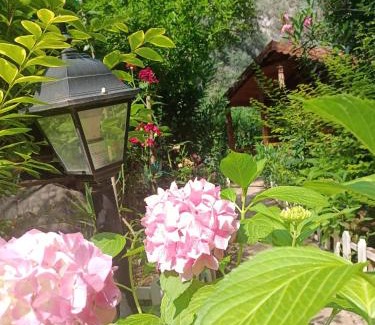 Cirali Cabina | Canario Bungalows