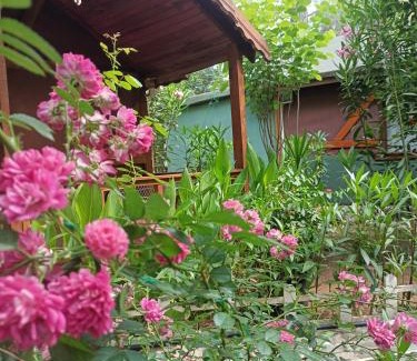 Cirali Cabina | Canario Bungalows