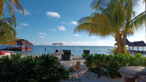 Puerto Juárez Apartamento | CANCUN PRIVATE APARTMENT
