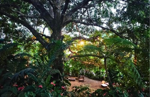 Siquijor Casa | Canjahawon Nipa Hut Homestay