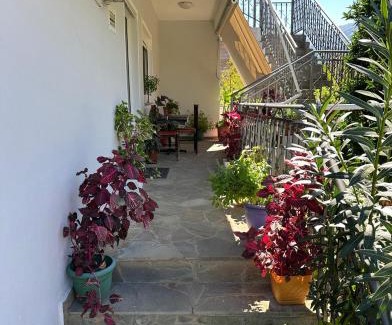 Permet Casa | Canka Guest House