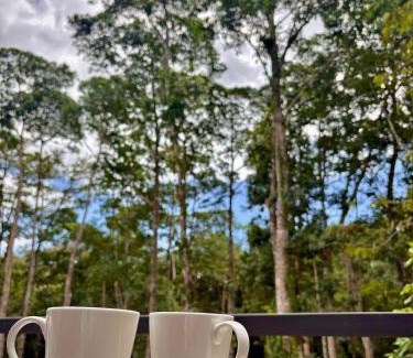 Chachagua Villa | CantaRana Lodge Rainforest