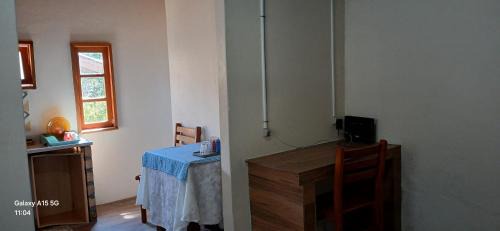 Lages Apartamento | Canto da árvore