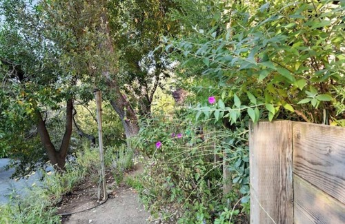 San Carlos Casa | Canyon Oak House: Private & tranquil home among the trees