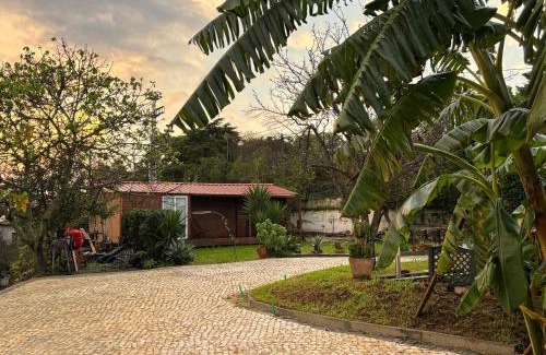 Caparica Apartamento | Caparica wood house