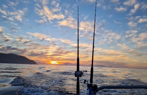 Simon's Town Alquiler De Eote | Cape Marine Adventures