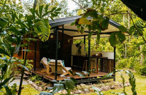 Cape Tribulation Cama Y Desayuno | Cape Trib Farm