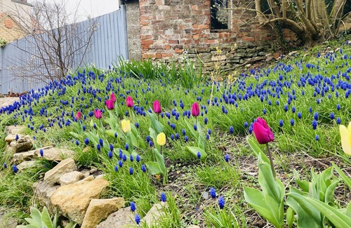 Branston Cabaña | Capella Cottage, 4 Miles From Lincoln City Centre