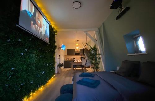 Roubaix Apartamento | Capsule Roubaix/Lille Balneo*Home cinéma*Billard