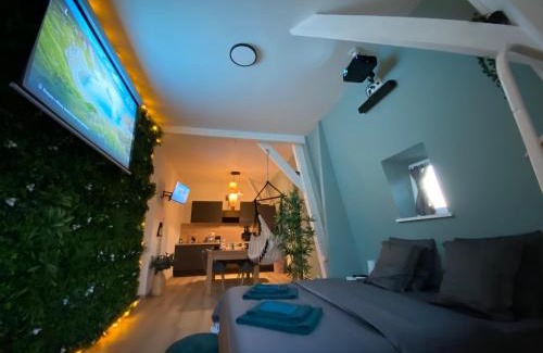Roubaix Apartamento | Capsule Roubaix/Lille Balneo*Home cinéma*Billard