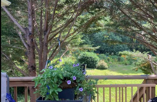 West Brewster Cabaña | Captain's Quarter Cottage