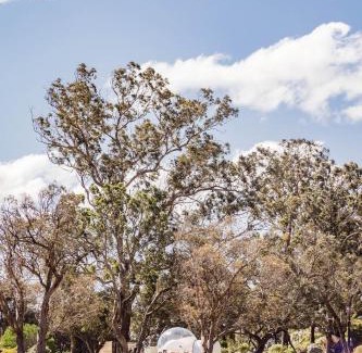 Tenterfield Otro | Captain Thunderbolt Bubbletent at Mirumiru