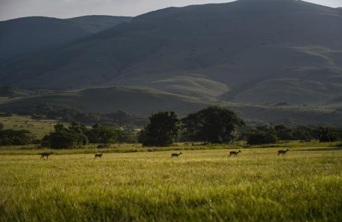 Houtboschoek Cabina | Caracal Lodge