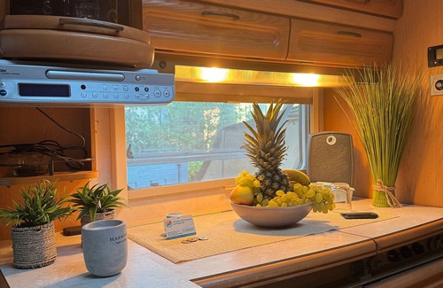 Plaue Casa | Caravana 'La Pura Vida' con terraza privada, jardín compartido y Wi-Fi