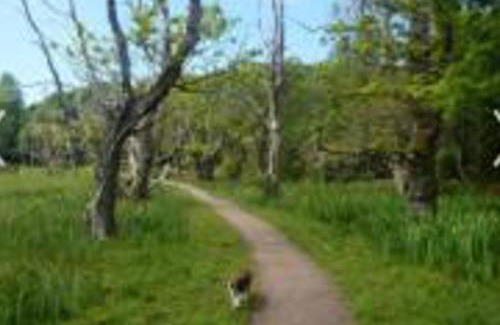 Newton Stewart Chalet De Esquí | Caravan - Sleeps 4 - Pet friendly - Parking