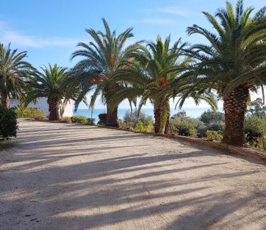 Solenzara Apartamento | CARDELLINI 23