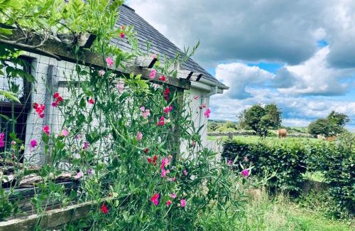 Downpatrick Apartamento | Cargagh Cottage