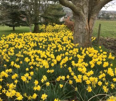 Downpatrick Apartamento | Cargagh Cottage
