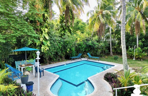 Punta Sur Casa | Caribbean Villa with Private Pool and Yard, Perfect for Families and Groups