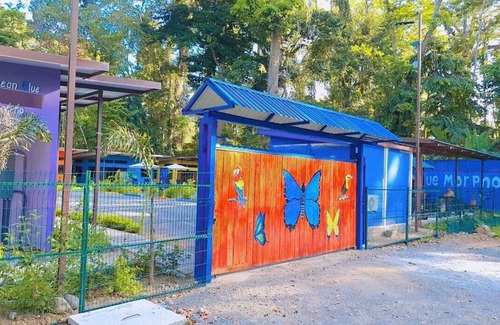 Cahuita Apartamento | Caribbean Blue Morpho
