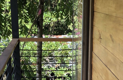 Cahuita Casa | Caribbean Experience