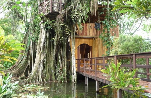 Cahuita Casa | Caribe Casa en el árbol de la selva