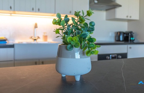 Kralendijk Apartamento | Caribbean Lofts Bonaire
