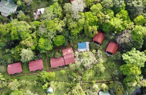 Tortuguero Hotel | Caribbean Paradise