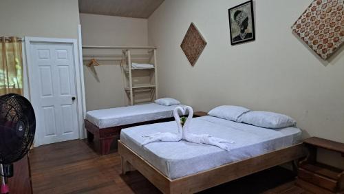 Tortuguero Hotel | Caribbean Paradise