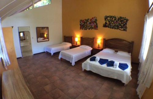 Tortuguero Hotel | Caribbean Paradise