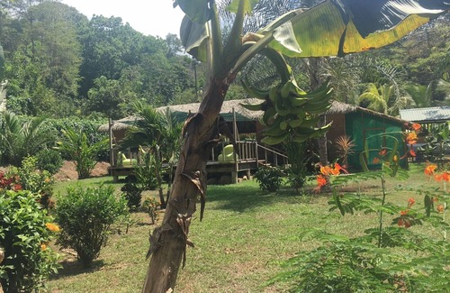 Ojochal Casa | casa carribeene de madera