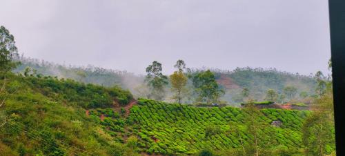 Munnar Casa | CARMEL HOME STAY