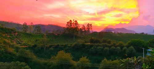 Munnar Casa | CARMEL HOME STAY