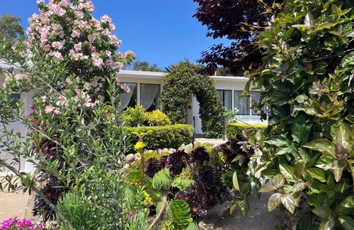 Carmel Point Casa | 'Carmelo Tranquilidad' 2 playas a pocos pasos de esta casa Rose Garden