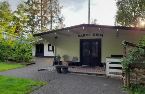 Schoonebeek Chalet De Esquí | Carpe Diem, het ruime chalet met houtkachel nabij Wildlands Emmen