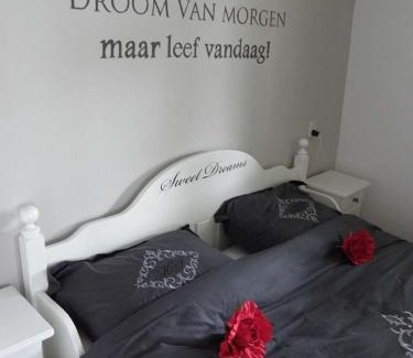 Municipality of Ommen Casa | Carpe Diem