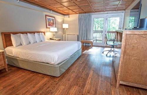 Olive Hill Complejo | Carter Caves State Resort Park