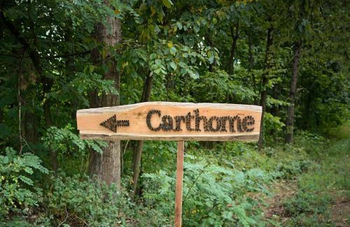 gmina Ksiezpol Apartamento | Carthome - wyjątkowe miejsce leśnego wypoczynku