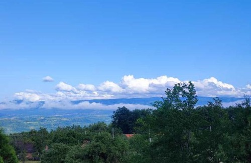 Domasnea Casa | Casă de Vacanță; Coliba - Mama Anica, Vasile Nicoară Sârbu, Cănicea