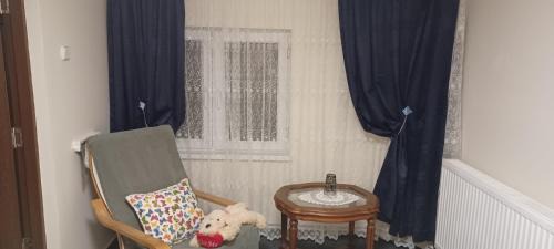 Suceava Casa | Casă particulară