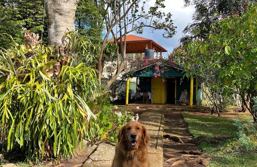La Joya Casa | CASA VILLA ANACAHUITA ideal para estar en contacto con la naturaleza.