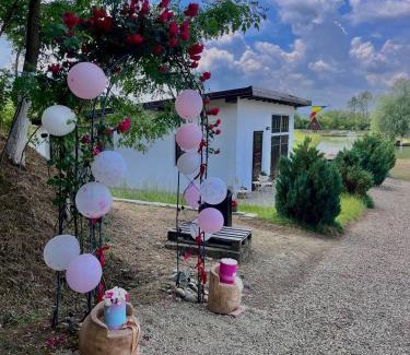 Caransebes Cabina | Casa Șoimului