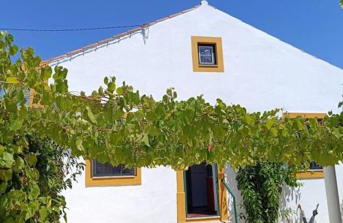 Torres Novas Casa | Casa 2 Jardins