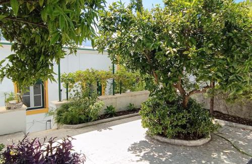 Torres Novas Casa | Casa 2 Jardins