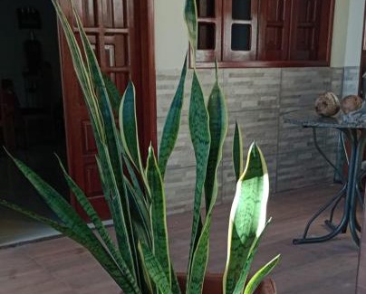 Santa Cruz da Baixa Verde Apartamento | Casa 48