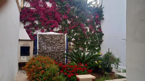 Sant'Isidoro Casa | Casa a 30 M dal mare