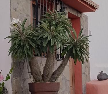 Tazacorte Casa | Casa Acosta