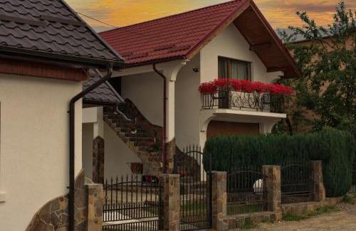Ocna Sugatag Casa | Casa Ade