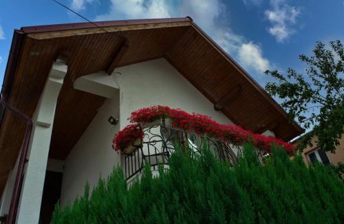 Ocna Sugatag Casa | Casa Ade