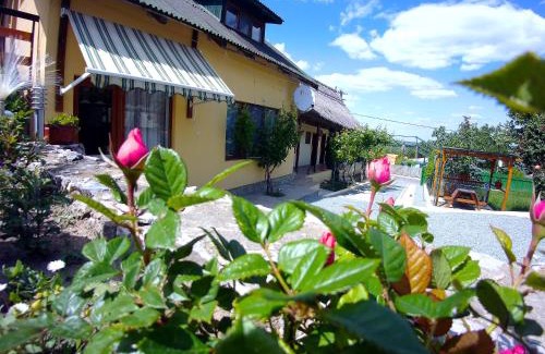 Mahmudia Casa | CASA ADI SI MARIA